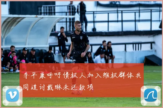 李平康呼吁债权人加入维权群体共同追讨戴琳未还款项