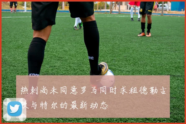热刺尚未同意罗马同时求租德勒古欣与特尔的最新动态