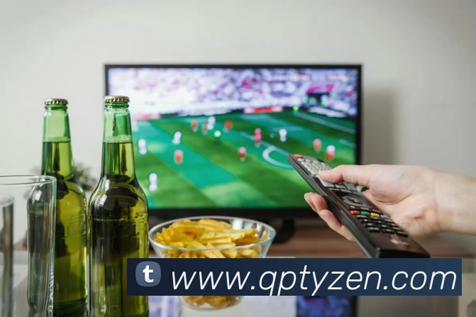 球派体育平台生态图