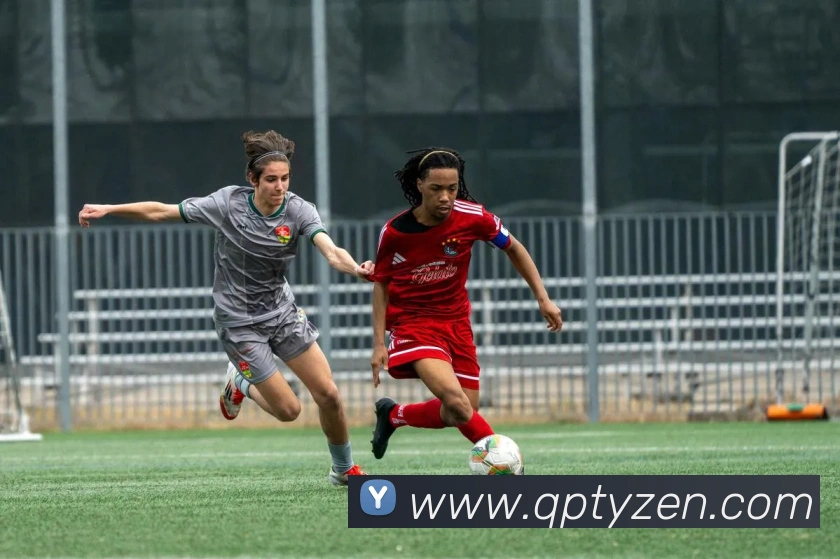 球派体育APP 封面图